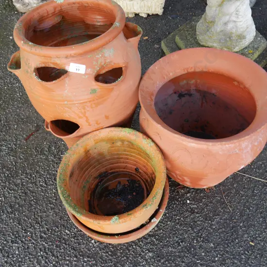 Terracotta plant pots