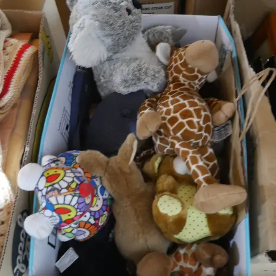 Stuffed animals