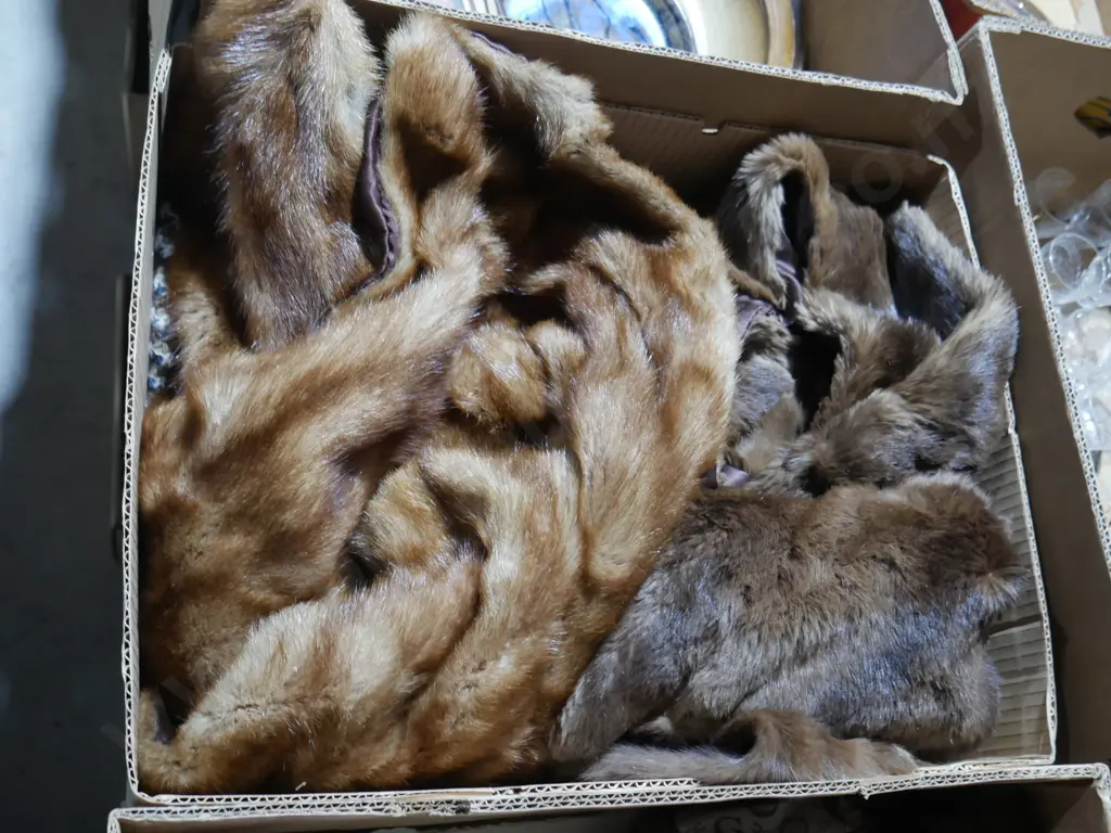 Fur stoles Image 1++