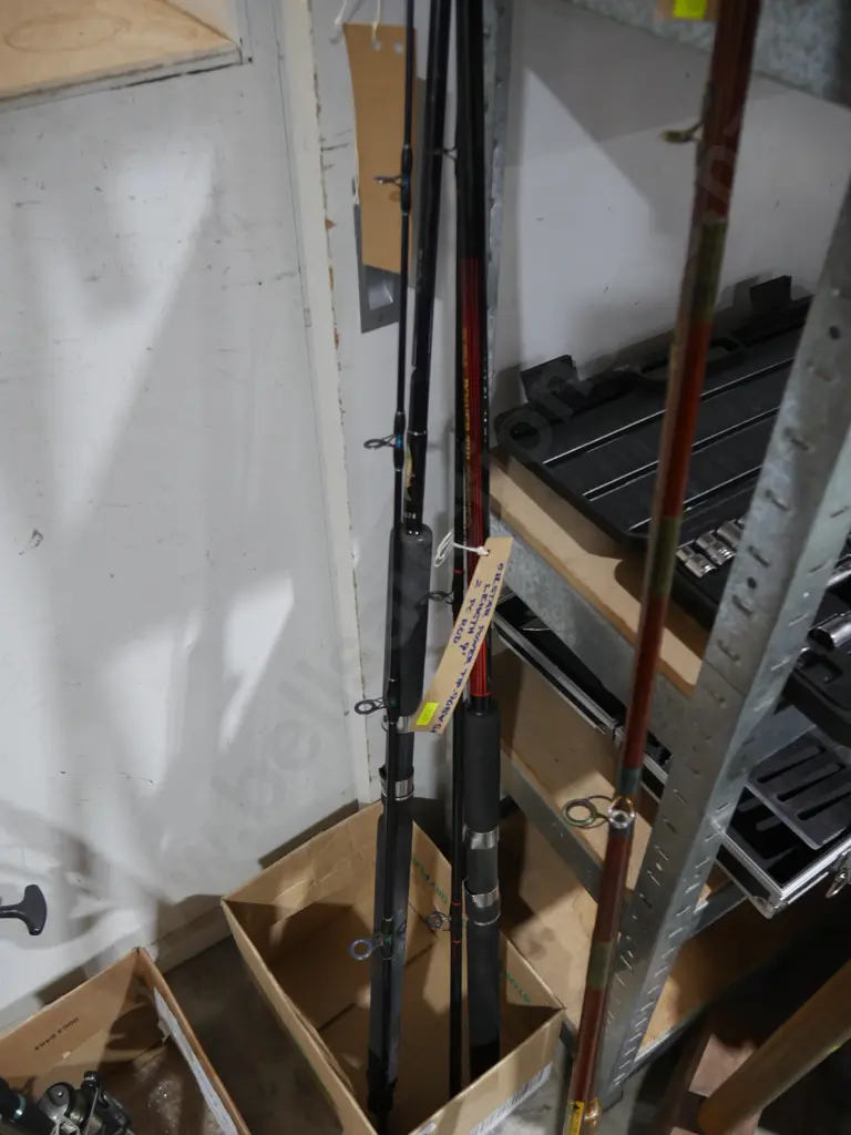 2 fishing rods Image 1++