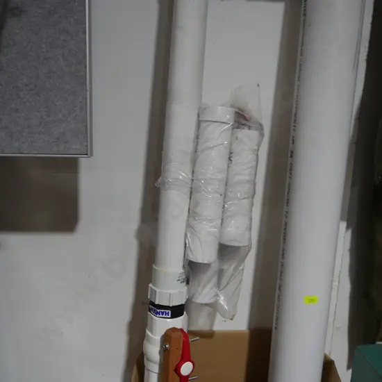 Bait cannon