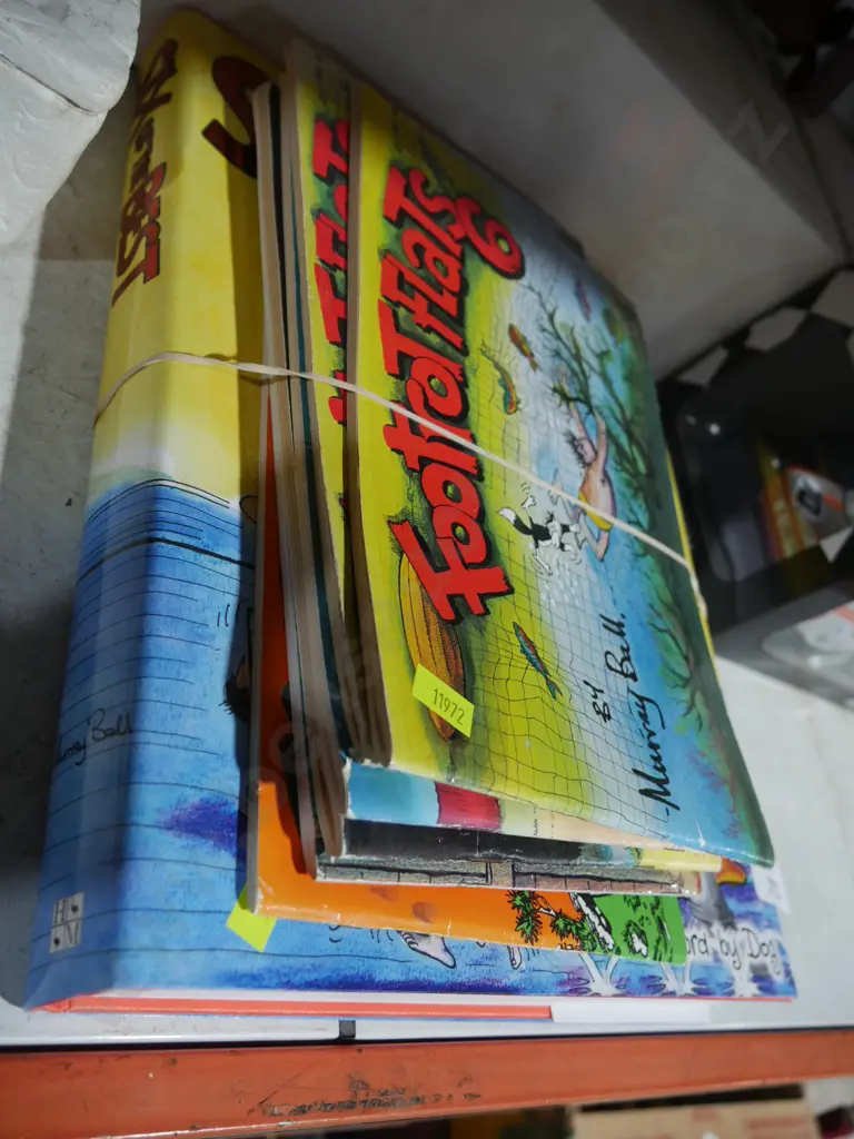 Footrot flats books Image 1++