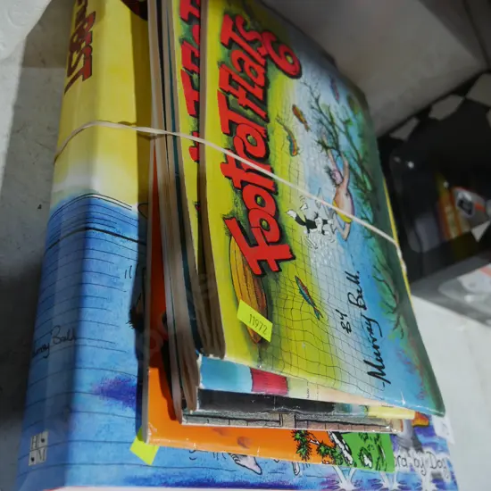 Footrot flats books
