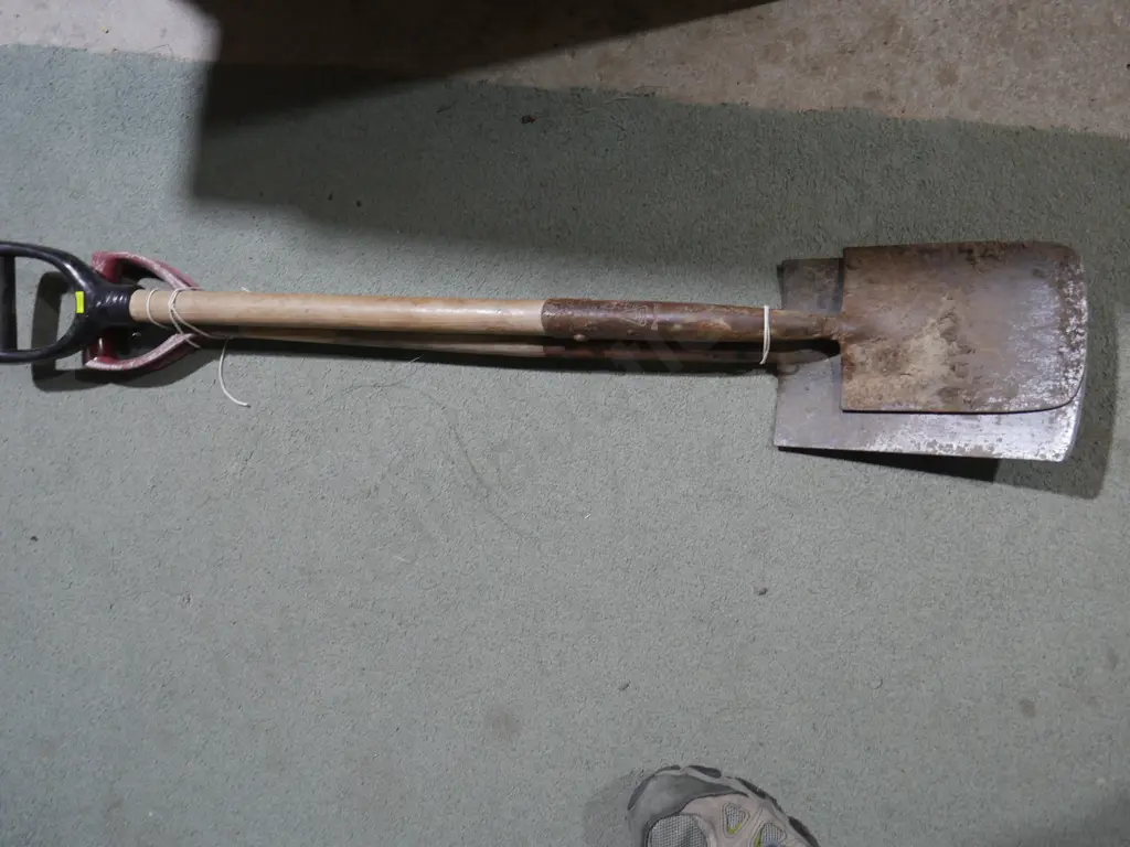 Two spades Image 1++