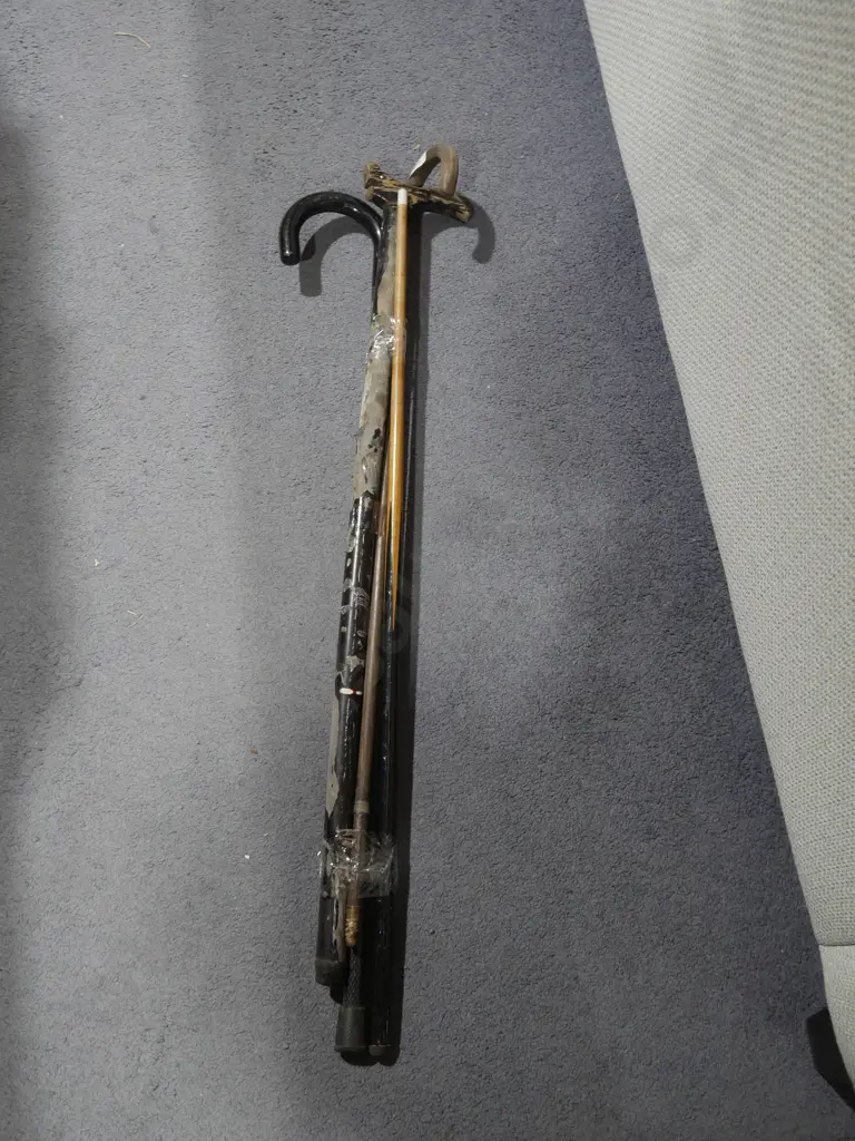 Walking sticks Image 1++