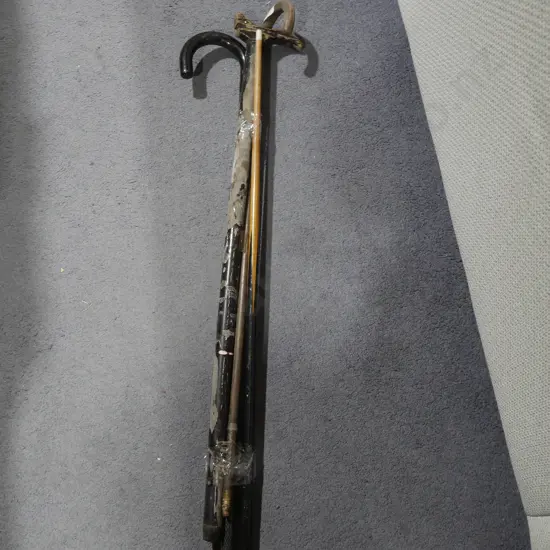 Walking sticks