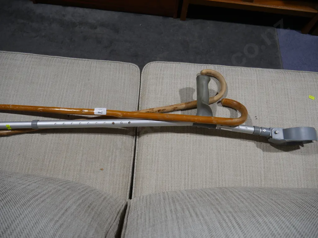 Walking sticks Image 1++