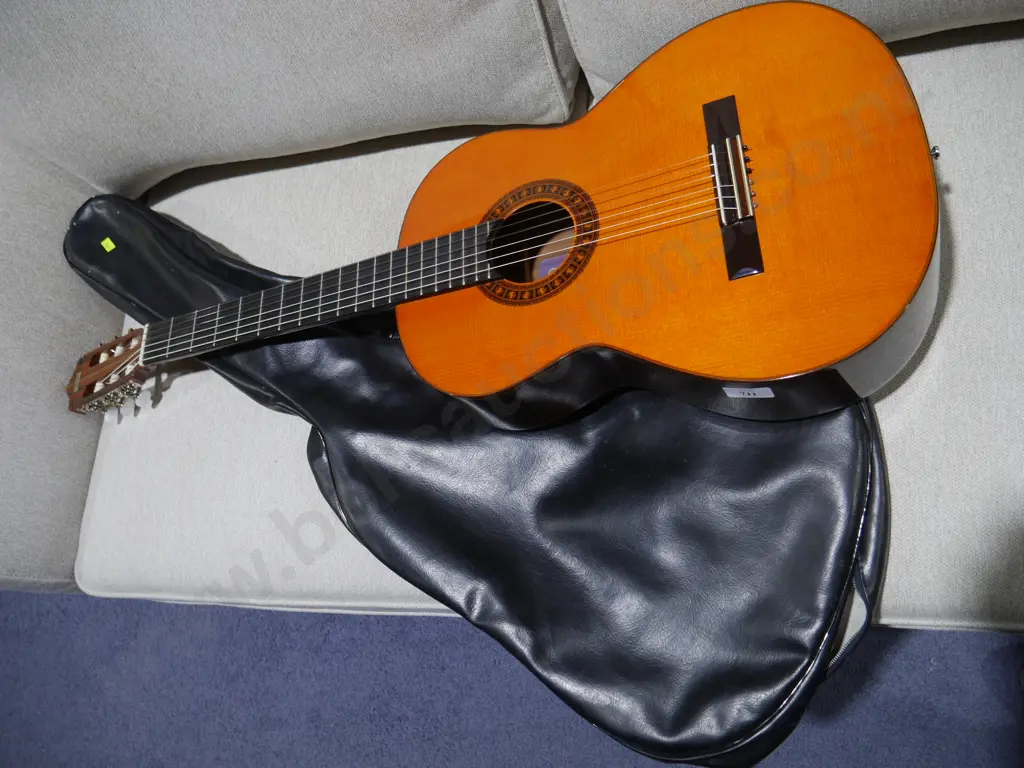 Classic guitar Image 1++