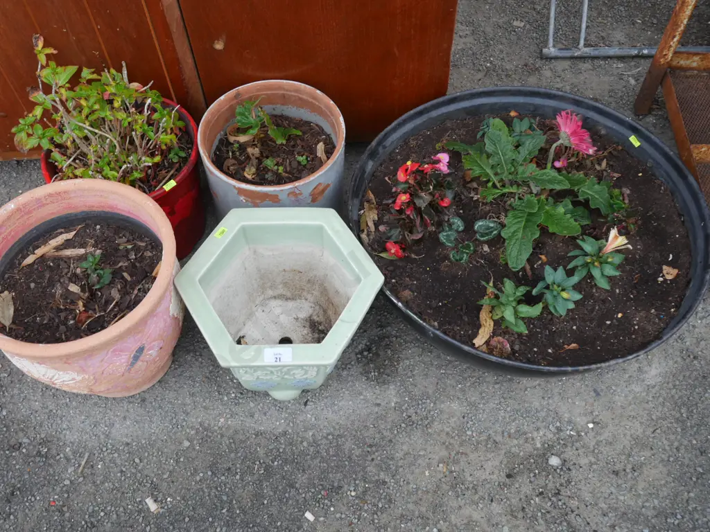 Plants and plant pots Image 1++