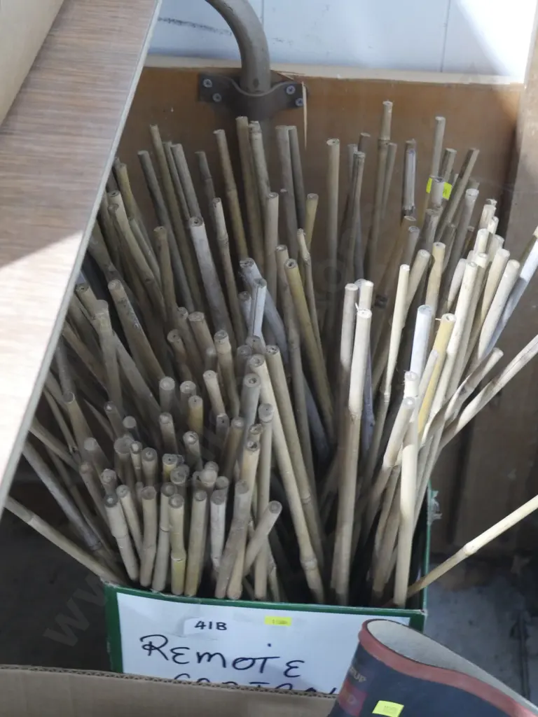 Bamboo stakes Image 1++