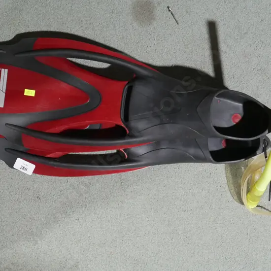 Snorkeling gear