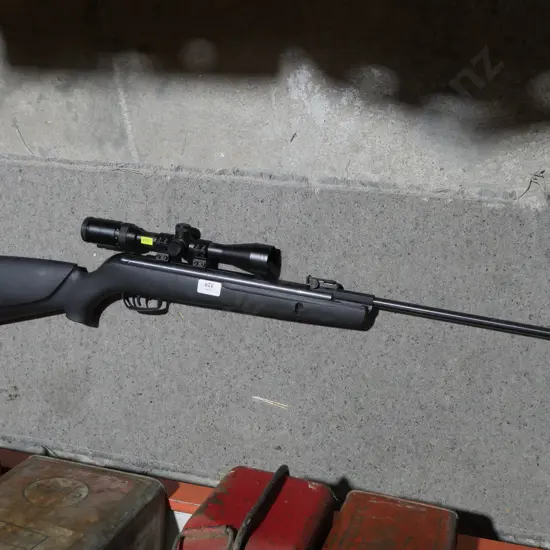 Air rifle and bag