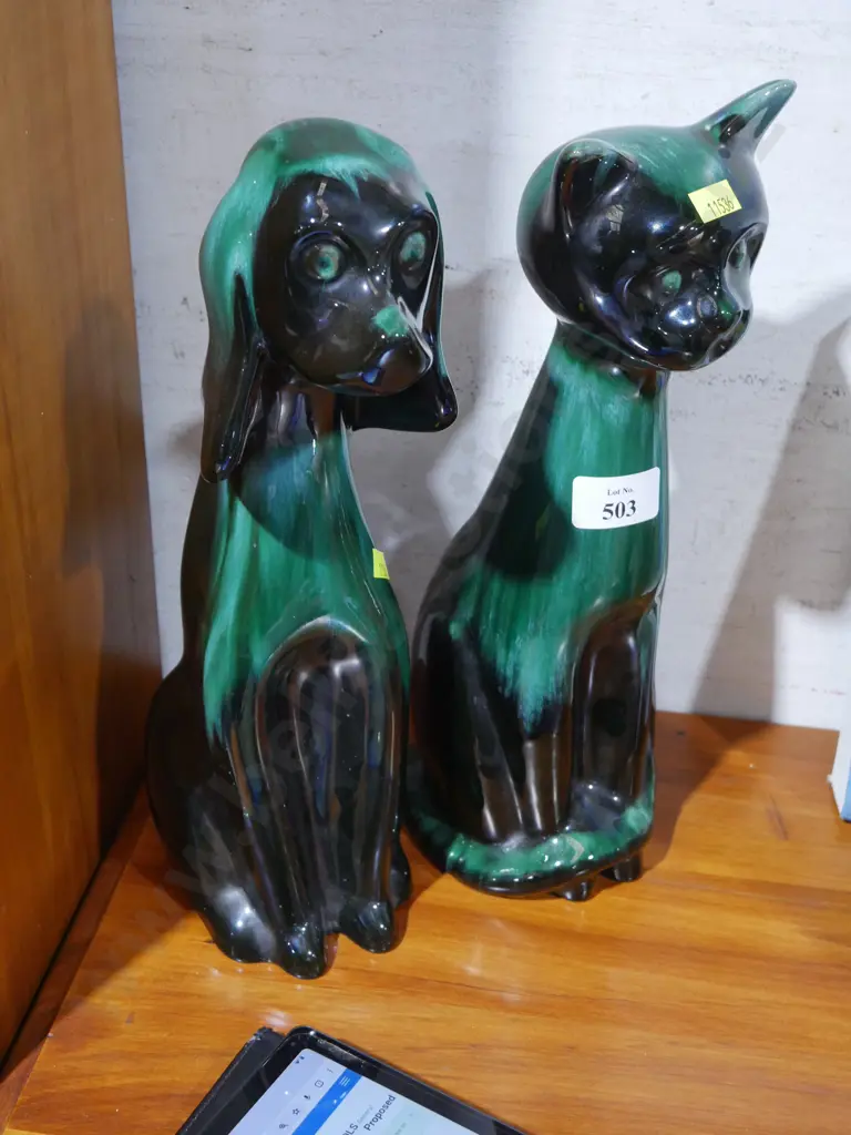 Blue mountain cat and dog Image 1++