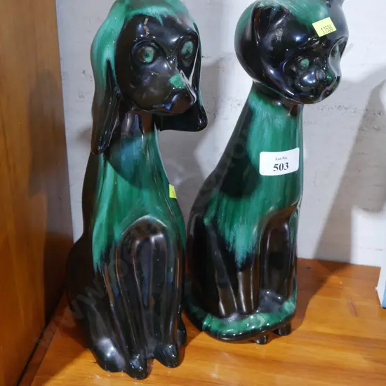 Blue mountain cat and dog