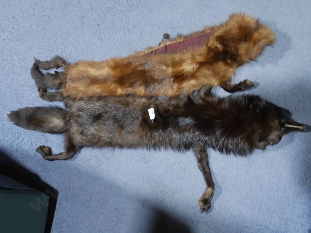 Fur pelt and stole Image 1++