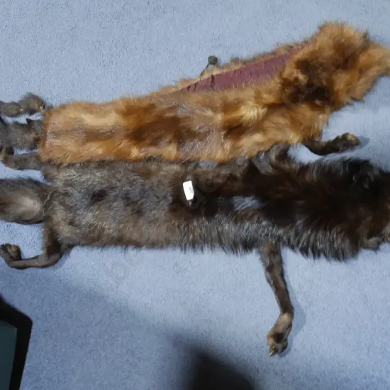 Fur pelt and stole