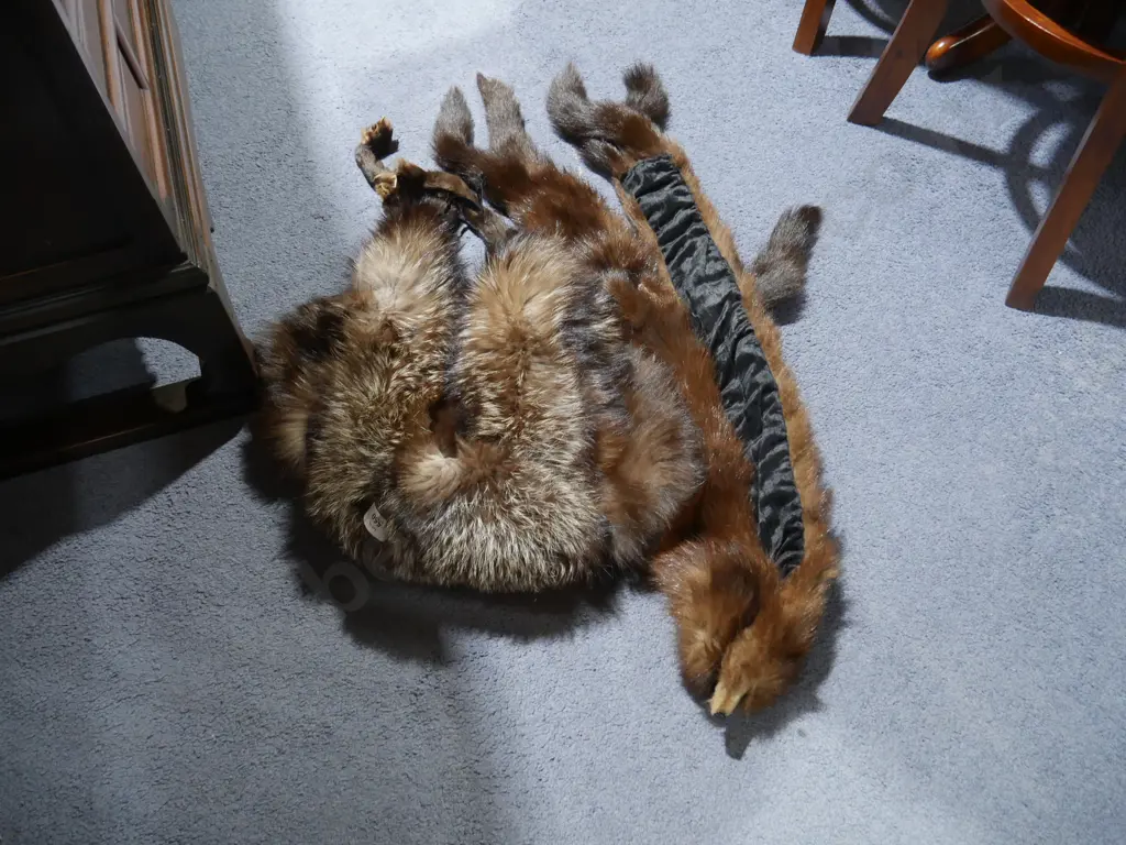 2 fur stoles Image 1++