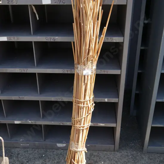 Garden stakes