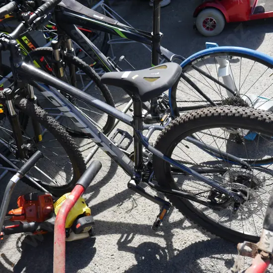 Giant bike