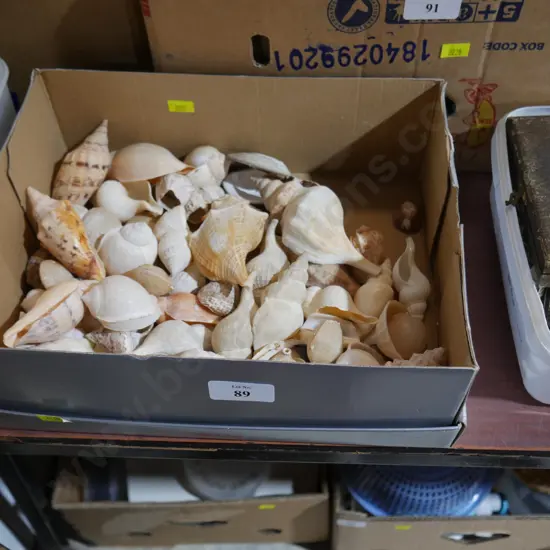 Shells