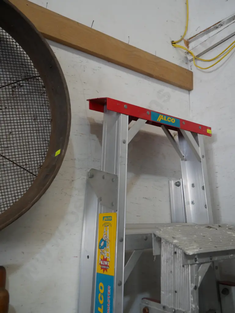 Alco extension ladder Image 1++