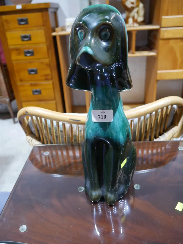 Blue mountain dog Image 1++