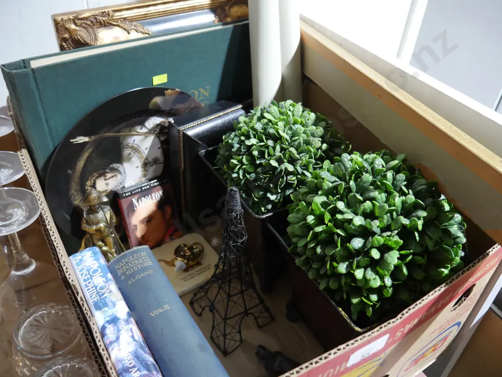 Artificial plants, Napoleon books etc Image 1++