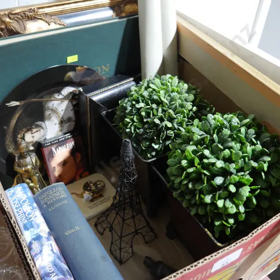 Artificial plants, Napoleon books etc