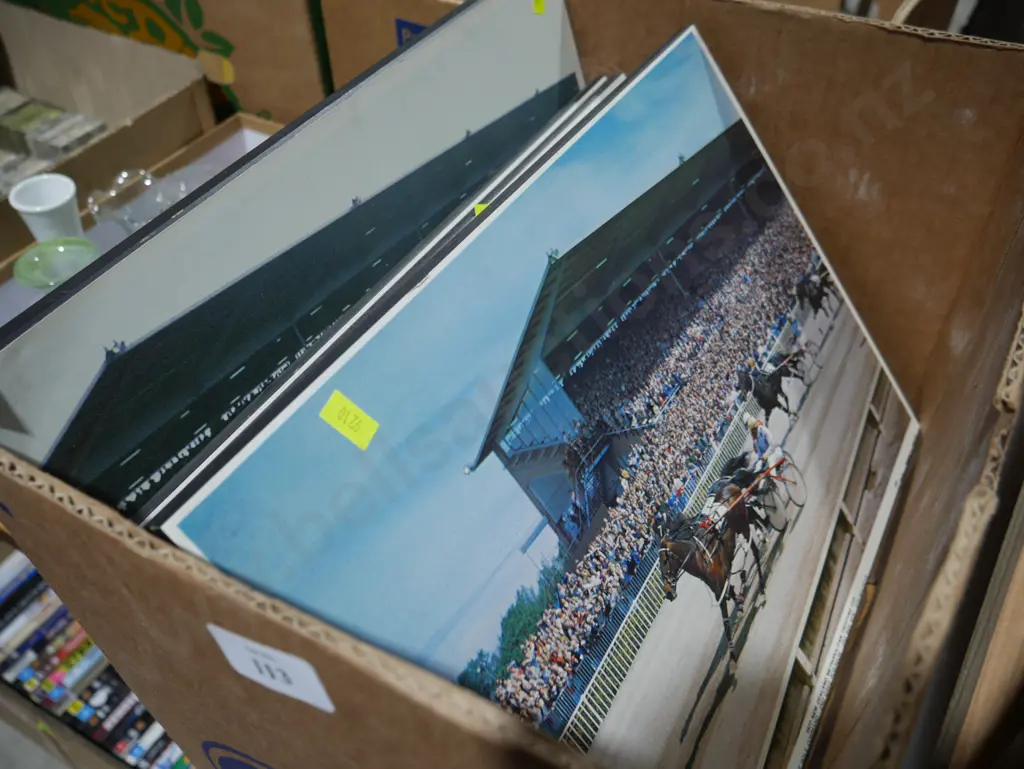 Horse trotting prints Image 1++