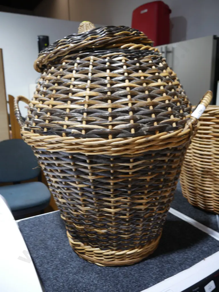 Cane baskets Image 1++