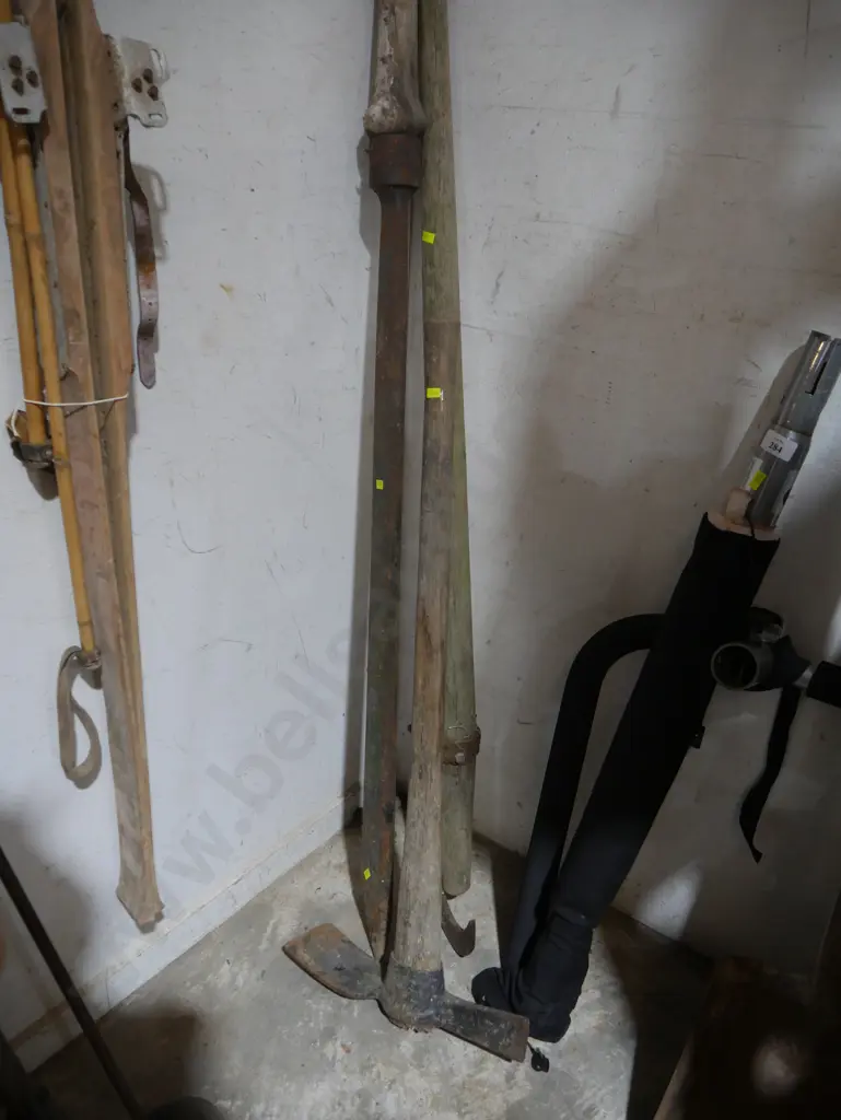 Root chopper, grubber etc Image 1++