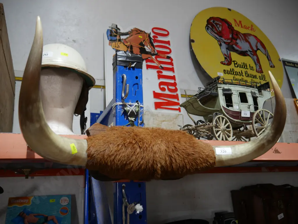 Animal horns Image 1++