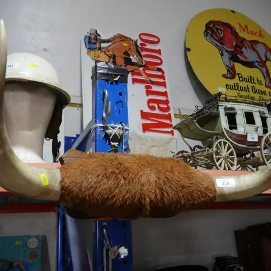 Animal horns