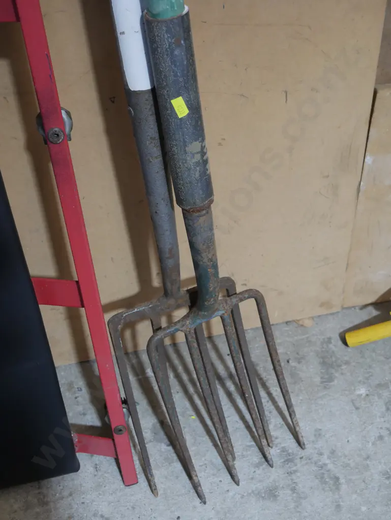 2 forks Image 1++