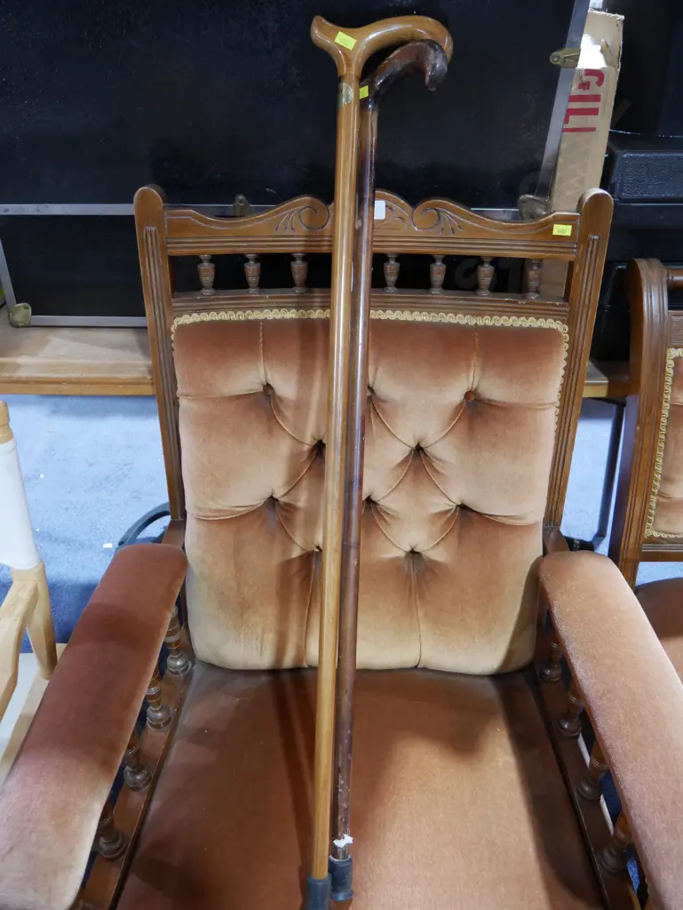 Walking sticks Image 1++