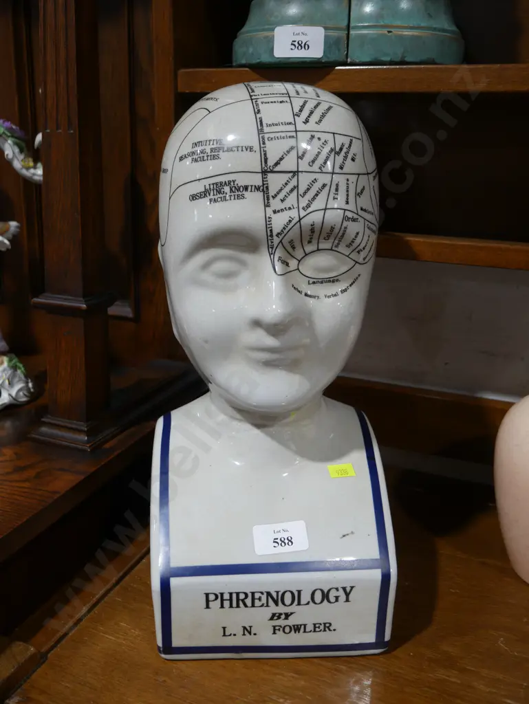 Phrenology head Image 1++