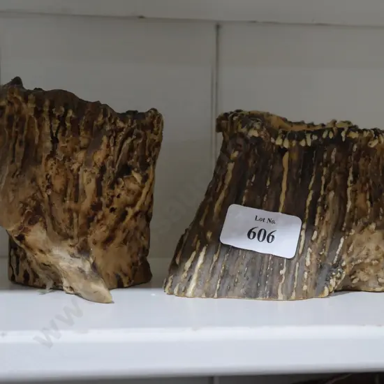 Deer antler dishes