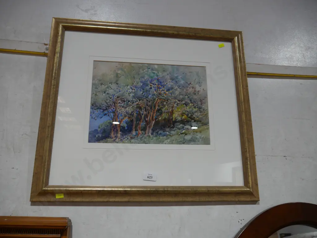 Framed watercolour Image 1++