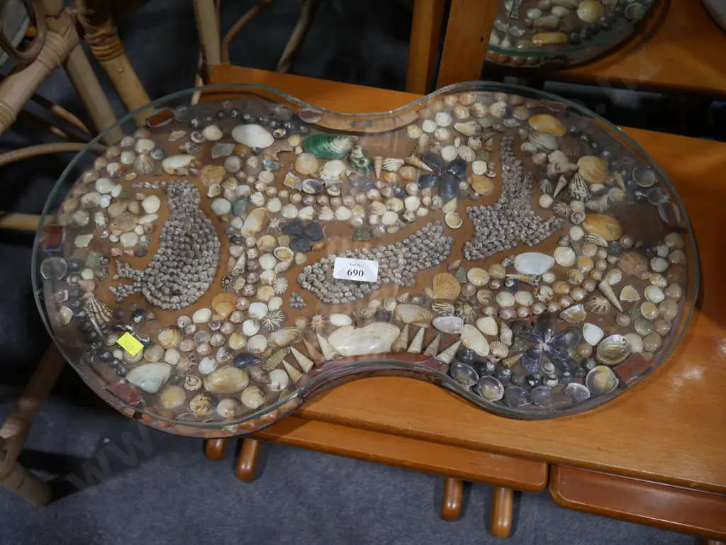 Shell display Image 1++