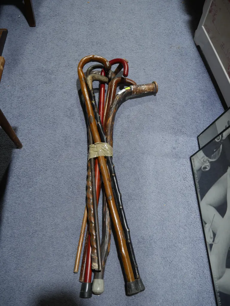 Walking sticks Image 1++