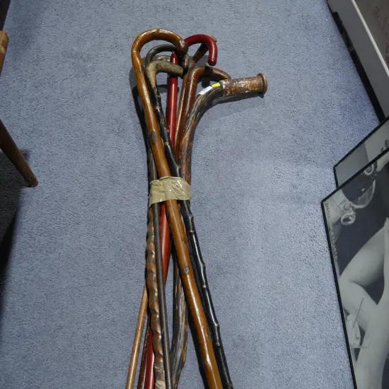 Walking sticks