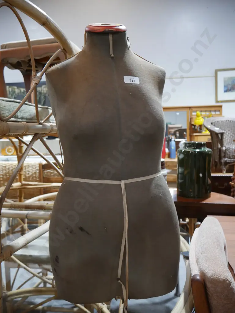 Torso Image 1++