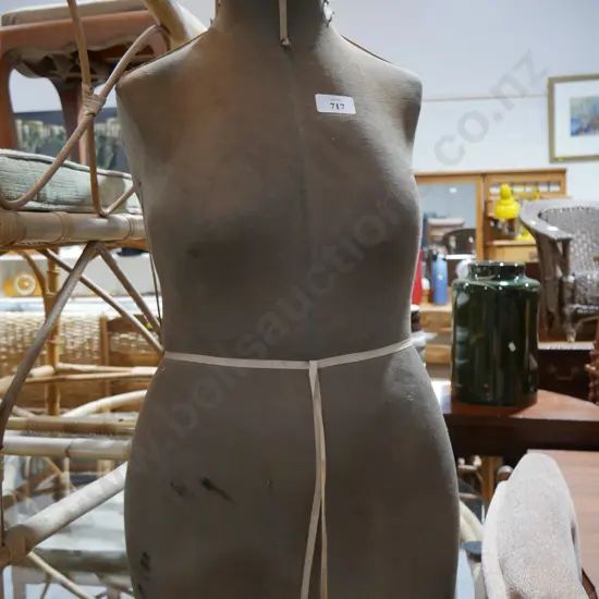 Torso