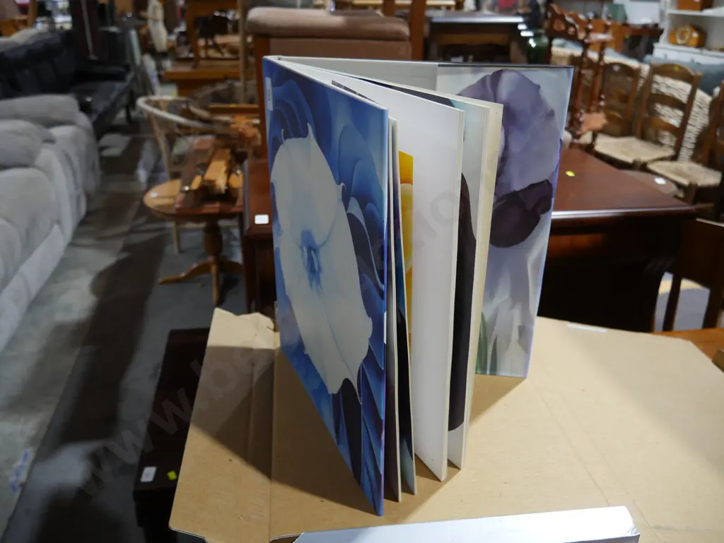 Art book Image 1++