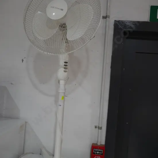 Fan