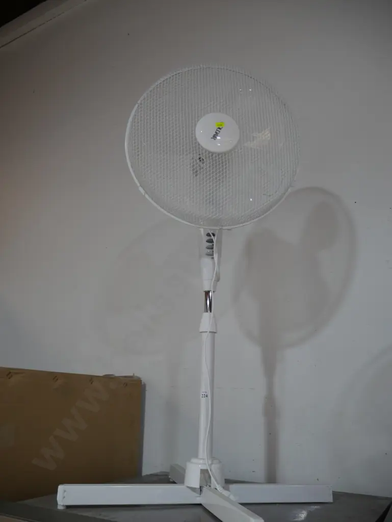 Fan Image 1++