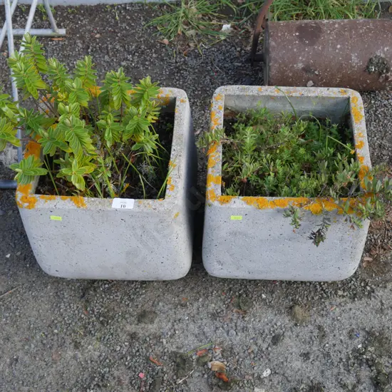 2 plant plant pots