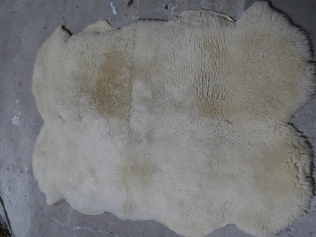 Large sheepskin floor rug Image 1++