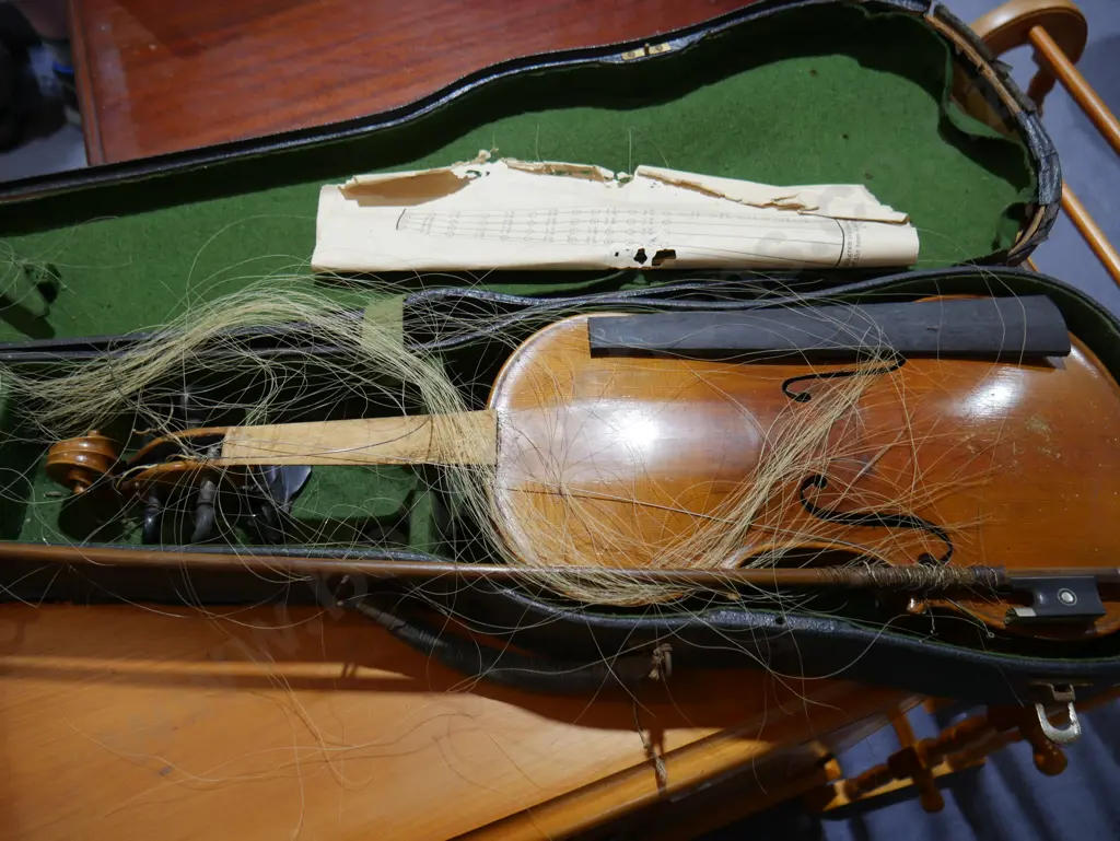 Violins Image 1++