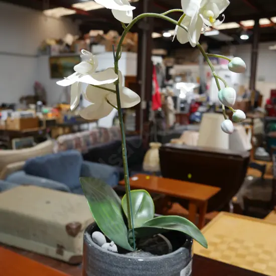 Imitation orchid
